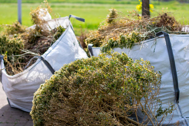 Trusted Enderlin, ND Junk Removal Services Experts